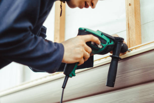 Affordable Siding Repair and Maintenance Services in Camanche Village, CA